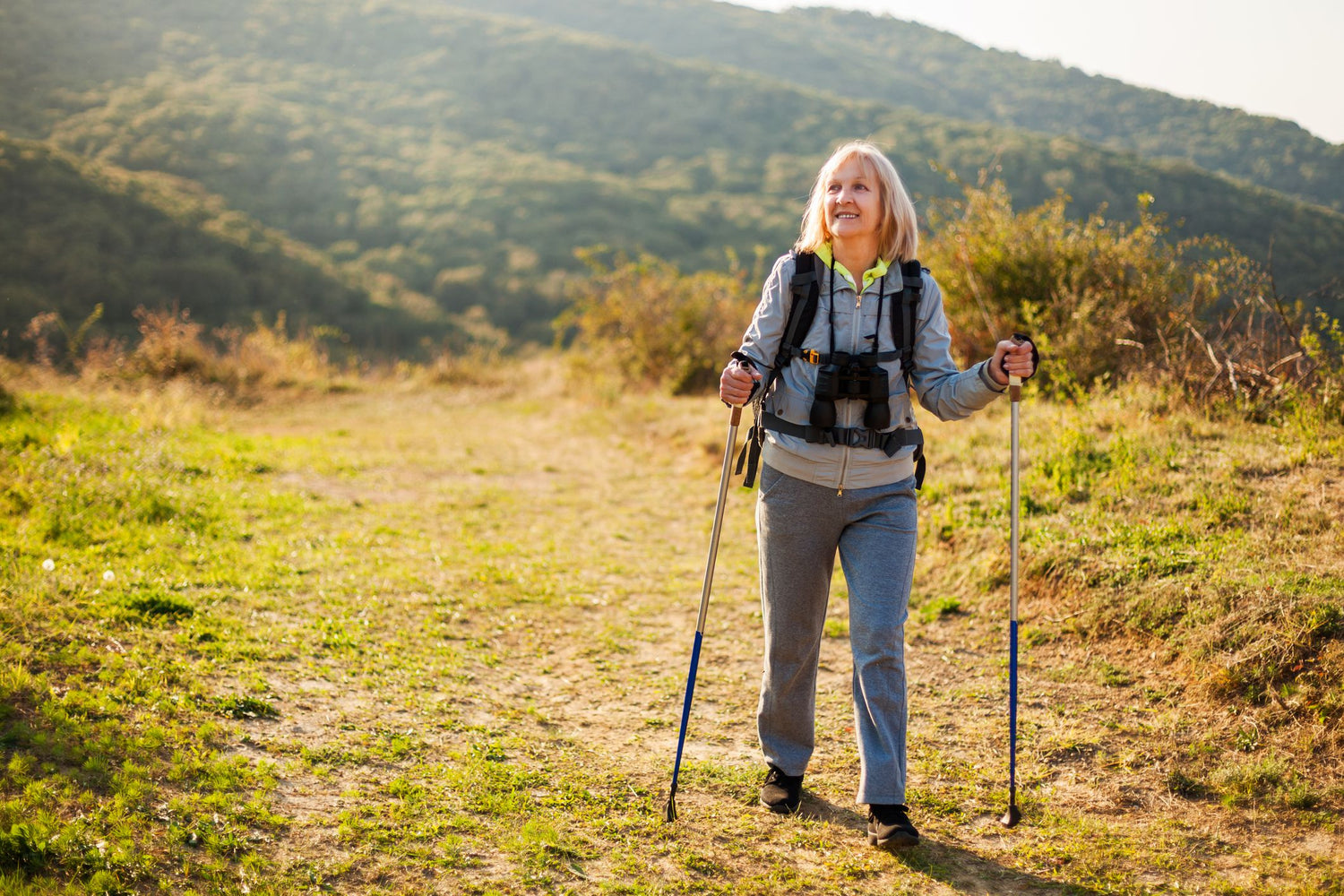 Walking Sticks