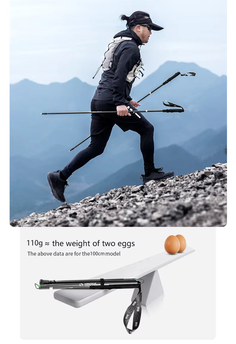 BISINNA Carbon Fiber Trekking Pole